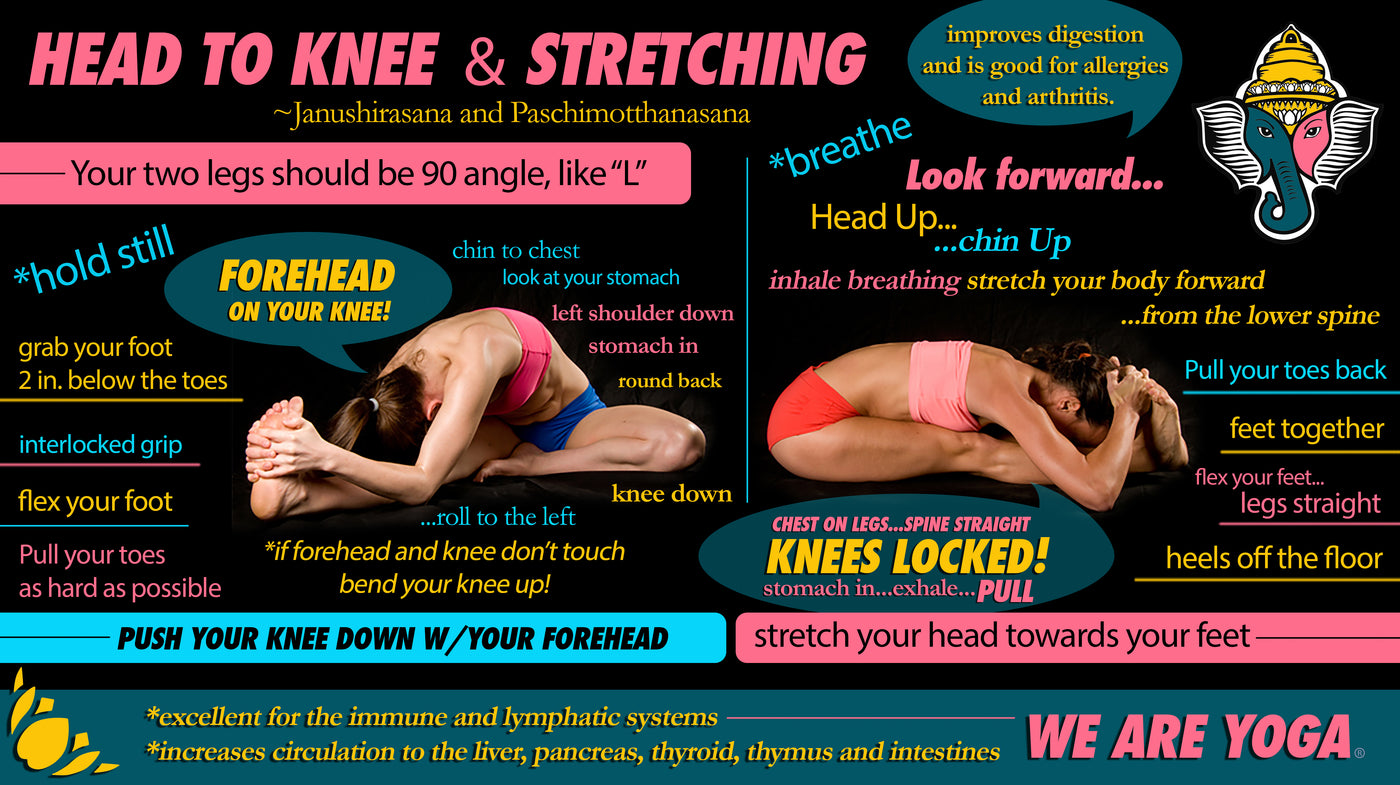 Yoga 15: Revolved Head To Knee Pose on Vimeo