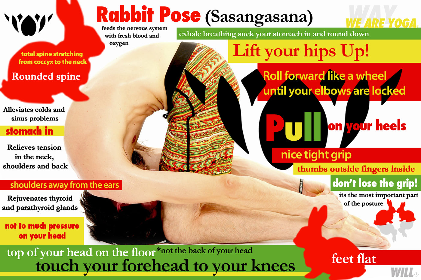Amrita Yoga - Rabbit Pose (Sasangasana) - gentle inversion that stimulates  the hypothalamus and pineal glands, supporting the whole endocrine system.  Excellent to practice before bed as part of a treatment for