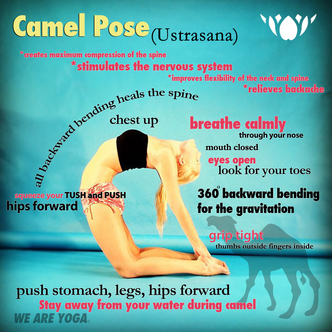 Yoga Love on Instagram: “How to prepare for Ustrasana Camel pose is a deep  backbend and it can feel challenging … | Yoga poses for back, Camel pose, Camel  pose yoga