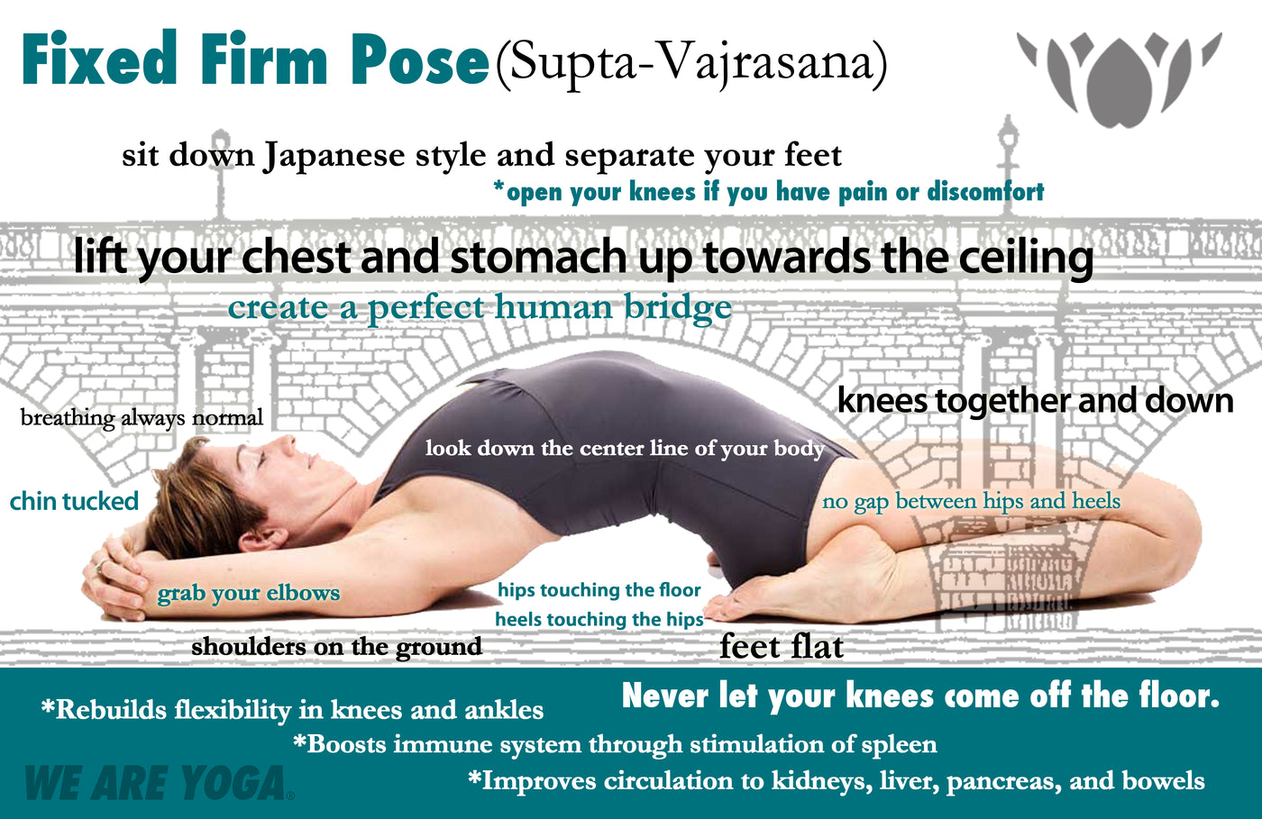 Vajrasana: How To do, Benefits, Precautions | Learn yoga poses, Yoga  breathing techniques, Learn yoga