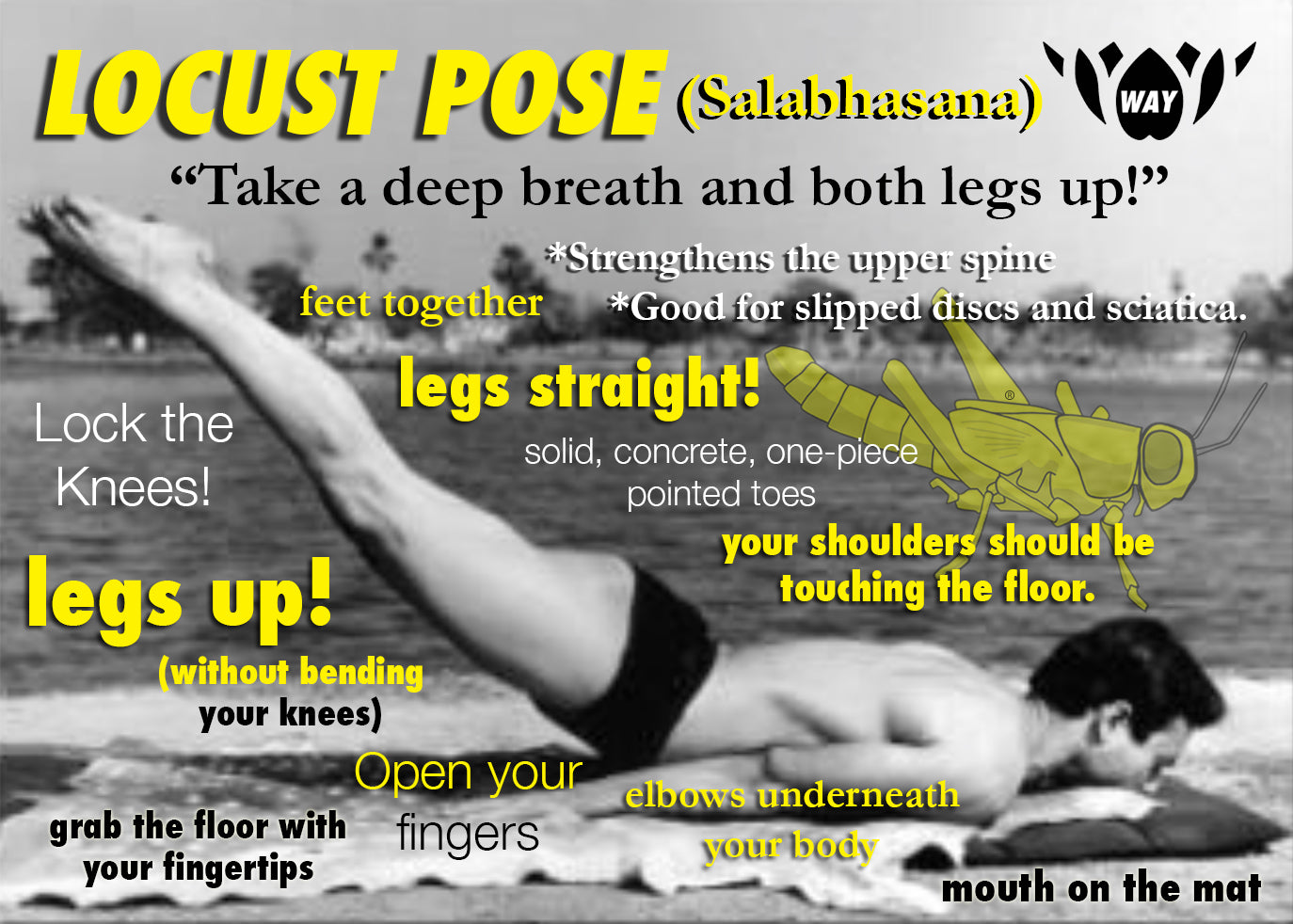 Full Locust Pose: Poorna Salabhasana : Hot Yoga 101 | Vancouver's Original  Hot Yoga Since 1999