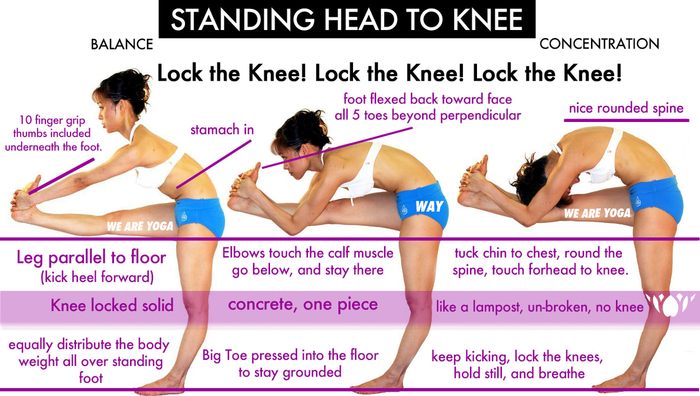 Knee ear pose - YogaClassPlan.com